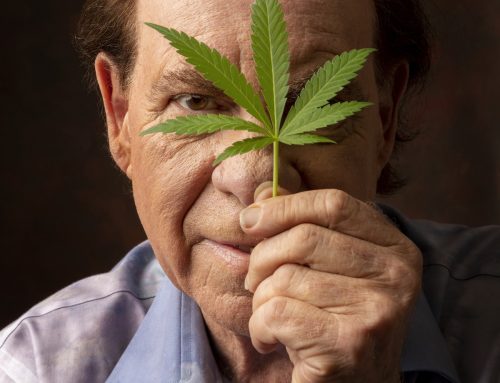 Cannabis Pioneer Ed Rosenthal Has A Super High Life