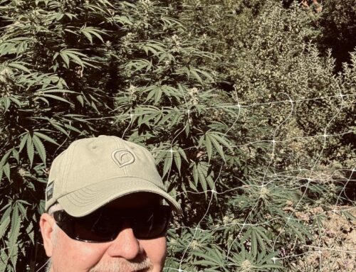 The Epic Annual Emerald Triangle Tour — Fat Nugs Magazine
