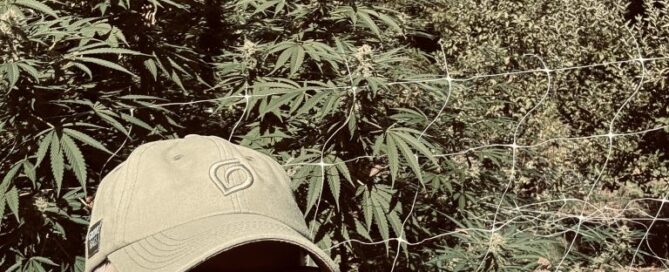 Lance Lambert standing in front of cannabis plants with sunglasses and a Grove Bags hat