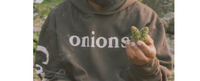 Man wearing brand Carrots Carrots “Onions” Capsule brown sweatshirt holding large cannabis nug