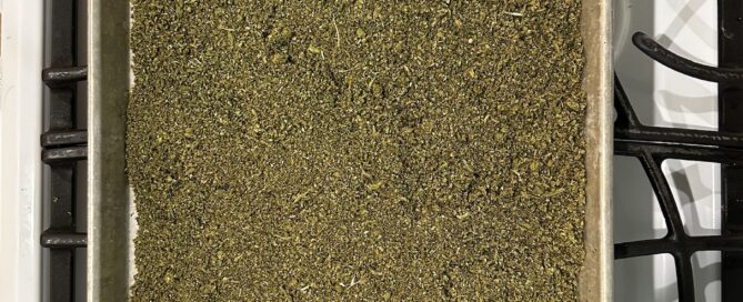 ground cannabis on baking sheet for decarbing