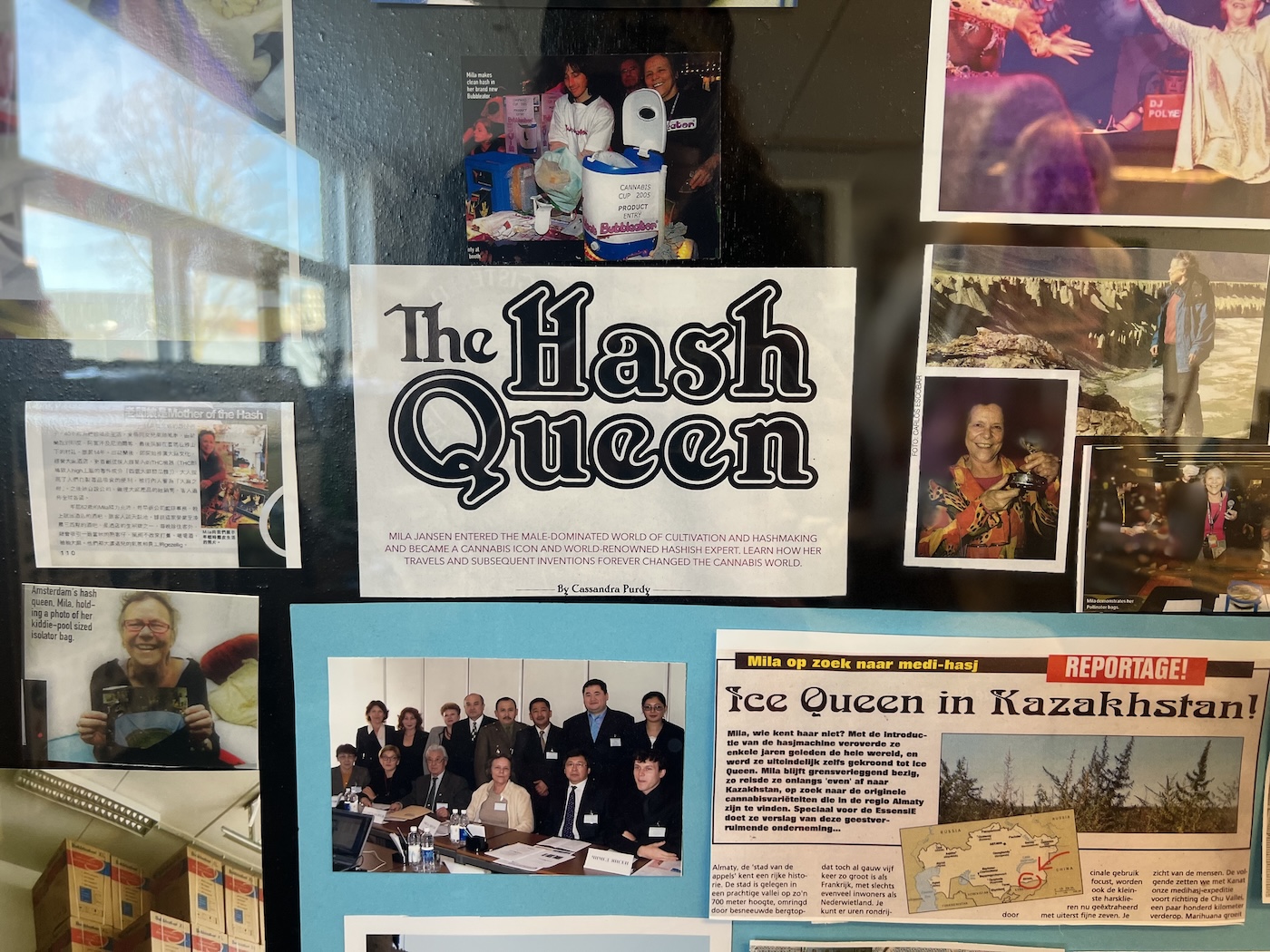 uma parede com fotos da rainha do hash, Mila Jansen, e seus amigos