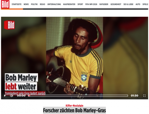 Researchers are cultivating Bob Marley grass — Bild Germany
