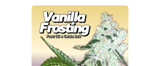 nubiapage best strains article cover