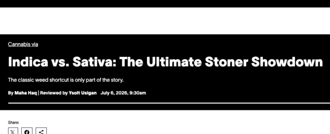 vice magazine indica vs sativa article cover
