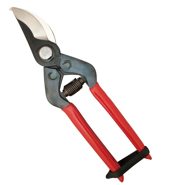 Ciseaux de taille Chikamasa PSN-8G