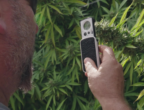 9 Fundamental Tools for Growing Cannabis Under $100