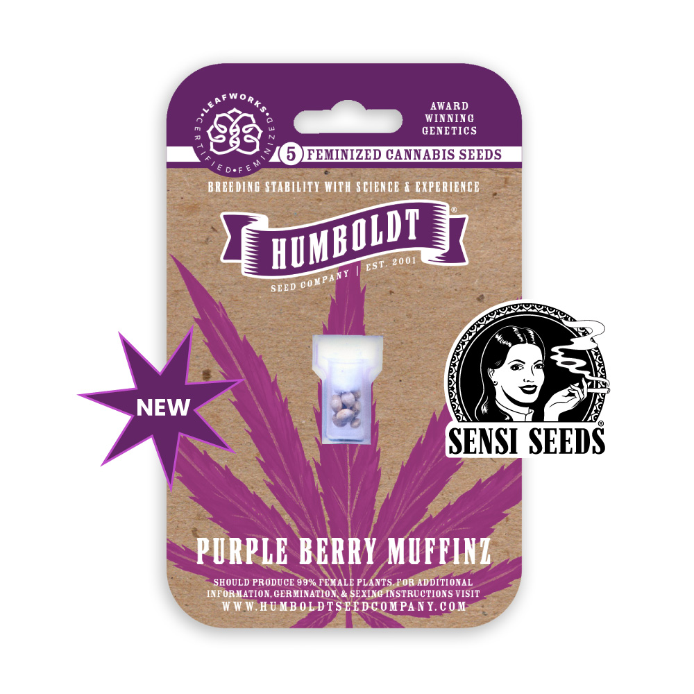Purple Berry Muffinz Pack