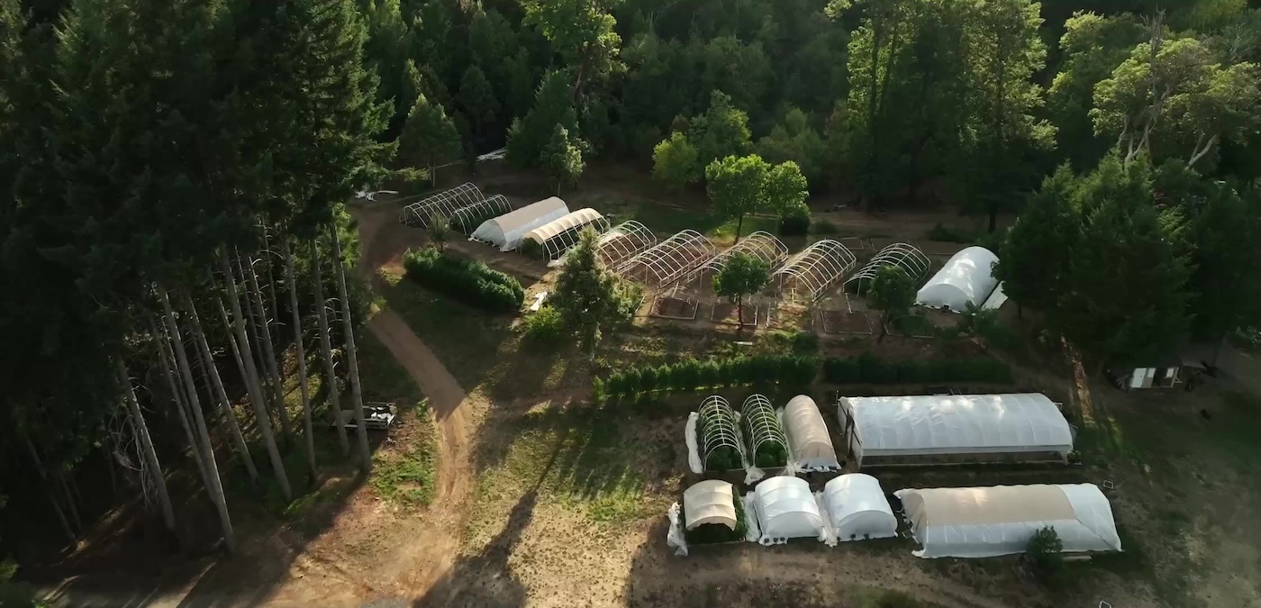 Image prise par un drone d'Anchor Farm montrant une exploitation agricole dédiée à la recherche sur le cannabis