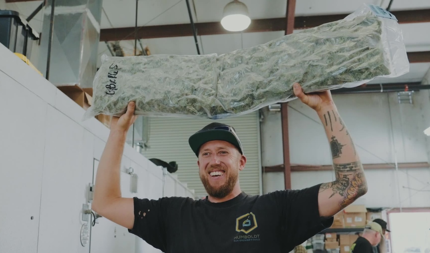 Ben Lind met een enorme zak bevroren cannabis voor bubble hash