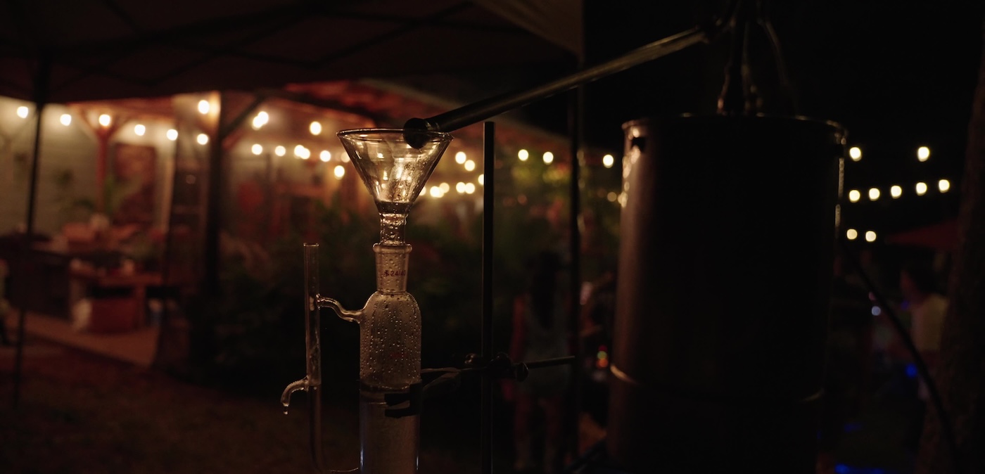 distillation des terpènes du cannabis