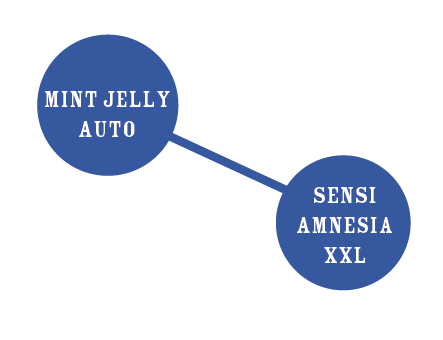 Amnesia-Jelly-SENSICOLLAB-AUTO3-PACKG-C4886G class="img-responsive